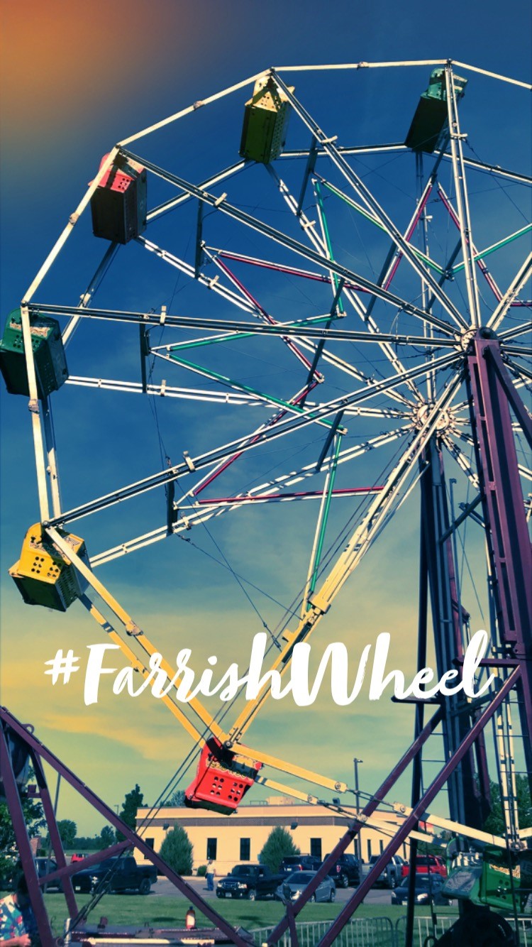Farrish Wheel 06